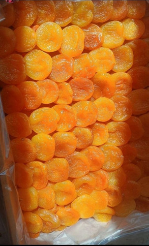 قیسی زردآلو دستچین هومسیتو